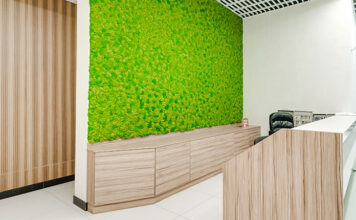 Zielone ściany z żywych roślin lub z mchu