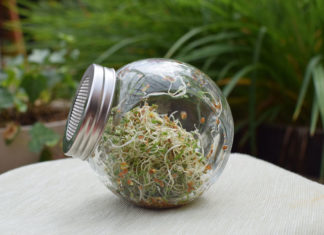 W jaki sposób zrobić las w szkle? W jaki sposób zrobić las w szkle?