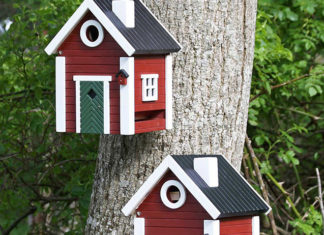 Jak wybrać karmnik dla ptaków?