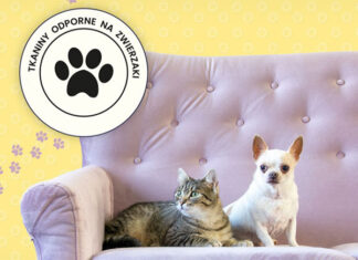 Petproof - tkaniny przyjazne zwierzętom