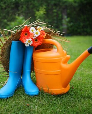 Zadbaj o swój ogród latem za pomocą kilku rad