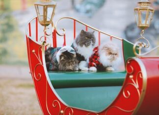 Jak wieszać swetry po praniu? Jak wieszać swetry po praniu?