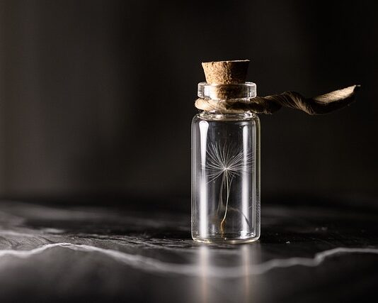 Jak zrobić sadzonki jabłoni?