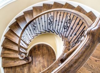 Jak przycinać liście monstery?