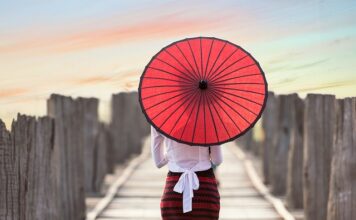 Co sadzić w pełnym słońcu?