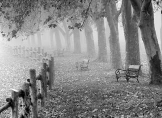 Czym ciąć siatkę ogrodzeniową?