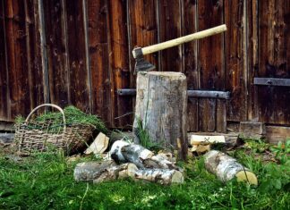 Ile biorą za rąbanie drzewa za metr?