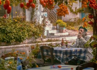 Jak się pali topola w kominku? Jak się pali topola w kominku?