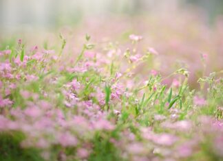 Jak zrobić kwietnik na balkon? Jak zrobić kwietnik na balkon?