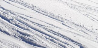 Jak się rzeźbi w drewnie?