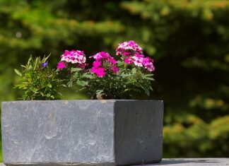 Co na dno dużej donicy?