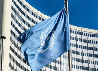 Kiedy UDT a kiedy TDT? Kiedy UDT a kiedy TDT?