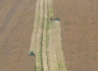 Jak się łączy siatkę?