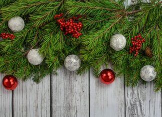 Co lepsze jodła czy świerk?