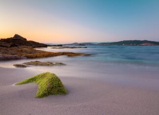 Ile trzeba zapłacić za godzinę pracy w ogrodzie?