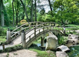 Jak upiększyć ogród?