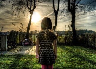 Jak zrobić ogrodzenie z siatki bez podmurówki?