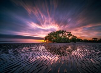 Jak zrobić odpływ w donicy?