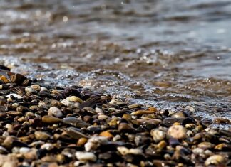 Jak zrobić żwirowe ścieżki? Jak zrobić żwirowe ścieżki?