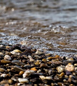Jak zrobić żwirowe ścieżki?