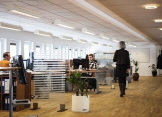 Co to za firma Baulich?