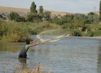 Czym przymocować siatkę do słupka?