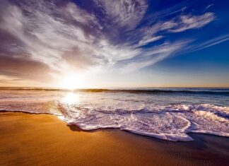 Czy pianki są w Biedronce?