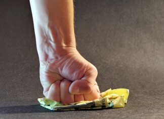 Gdzie postawić Monsterę?