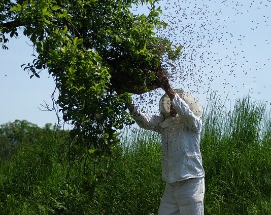 Jak wtopić węże pszczelarskie?