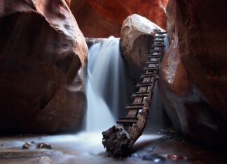 Jakie mamy rodzaje drabin w straży pożarnej?