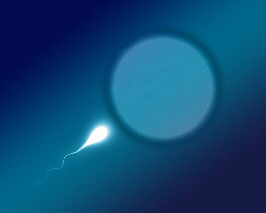 Czy plemniki mogą przejść przez majtki?