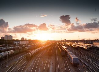 Ile kosztuje przewóz drewna z lasu?