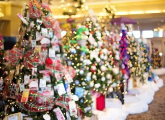 Co zrobić żeby choinki szybko rosły?