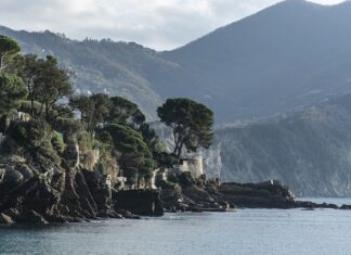 Ile kosztuje wycięcie otworu pod zlewozmywak? Ile kosztuje wycięcie otworu pod zlewozmywak?