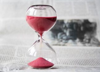 O której godzinie wychodzą dziki?