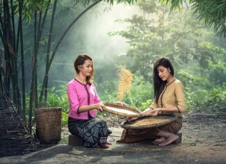 Na jaką głębokość siać nasiona?