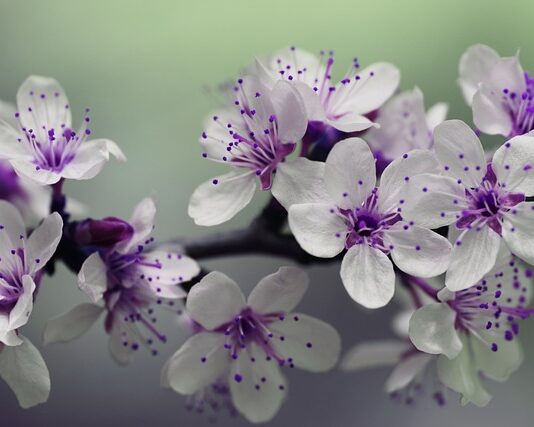 Z czego zrobić tanie słupki ogrodzeniowe?