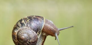 Do czego służą czujniki?