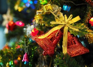 Kiedy kupuje się choinkę?