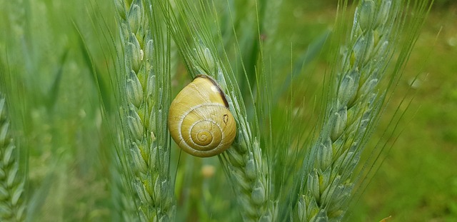 Czym uszczelnić zlew granitowy? Czym uszczelnić zlew granitowy?