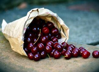 Kiedy najlepiej zbierać szyszki do dekoracji?