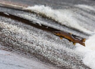 Jak ustawić prąd spawania? Jak ustawić prąd spawania?