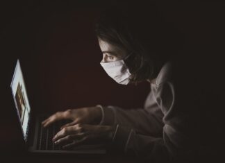 W jakiej odległości od siebie sadzić świerki?