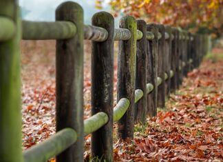 Jak głęboko kopać dołki pod słupki ogrodzeniowe?