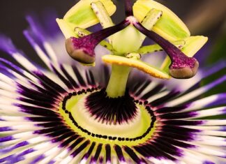 Jakie słupki do siatki 150 cm?