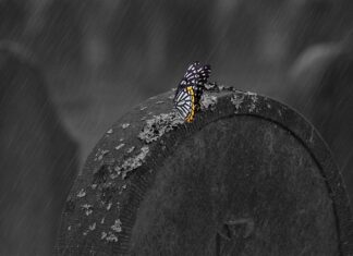 Jak głęboko kopać pod słupki ogrodzeniowe? Jak głęboko kopać pod słupki ogrodzeniowe?