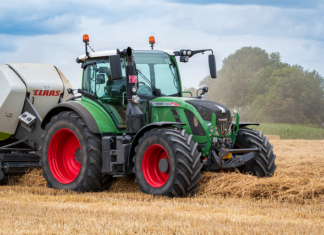 Czy trzeba wymieniać ziemię w doniczce?