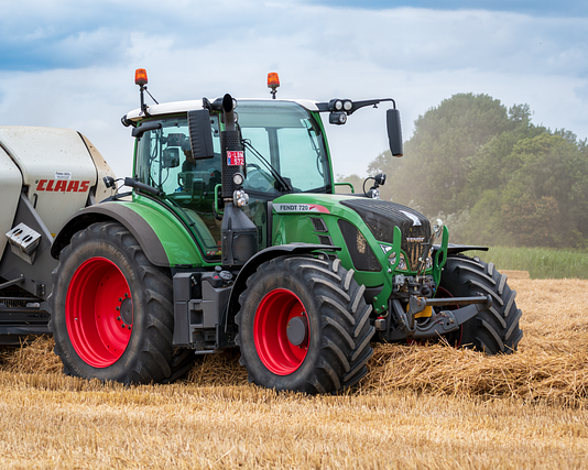 Czy trzeba wymieniać ziemię w doniczce?