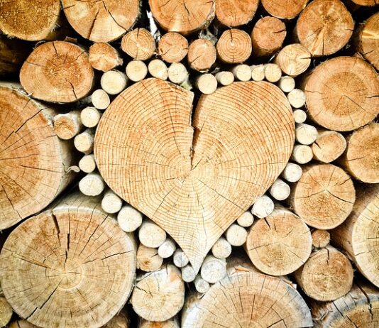 Ile kosztuje metr sześcienny drewna dębowego?