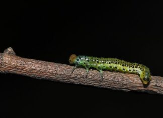 Dlaczego po stosunku mam infekcje? Dlaczego po stosunku mam infekcje?